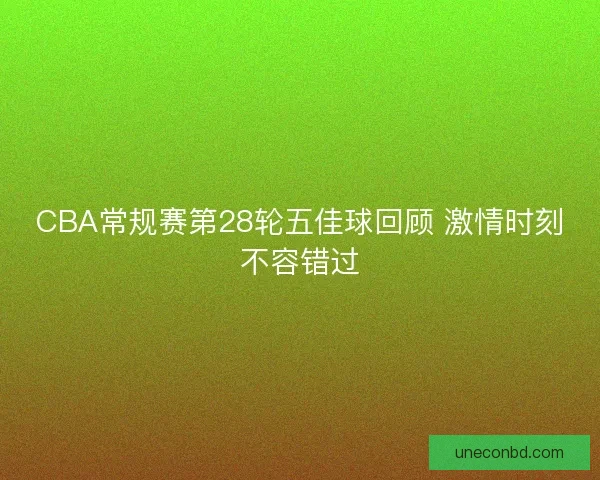 CBA常规赛第28轮五佳球回顾 激情时刻不容错过